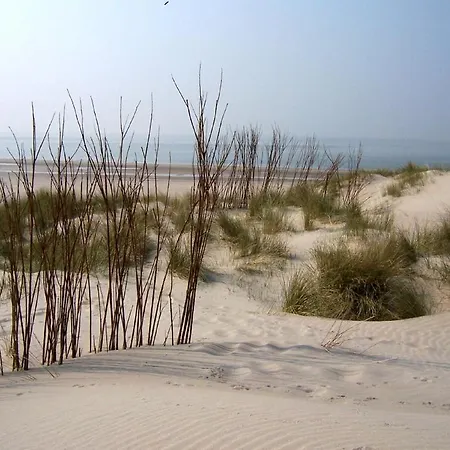 Dutch Beach Villa