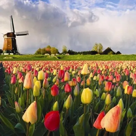 Dutch Beach